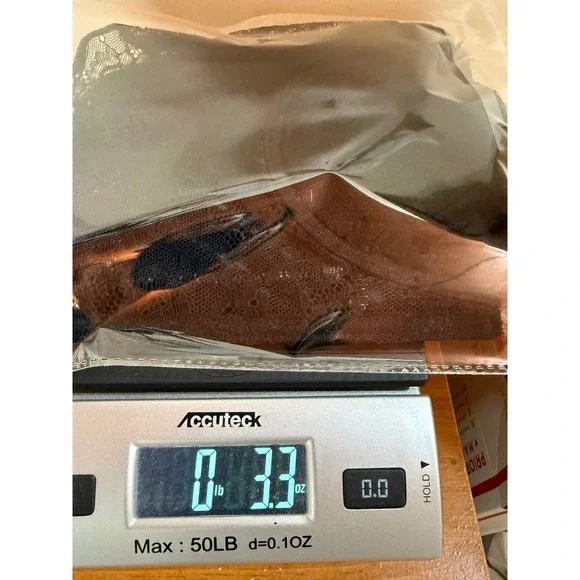 DYNAMITE Black Lace Corset Bustier Top XL Zipper Back Romantic Whimsigoth - Picture 9 of 9